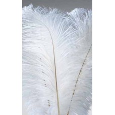 FEATHERS OSTRICH WING  White 14-17" (BULK)-OUT OF STOCK